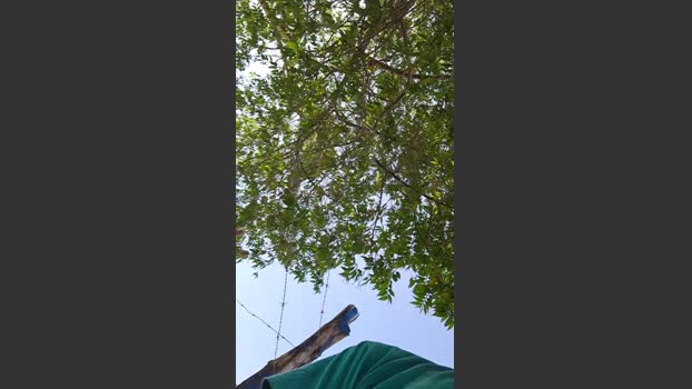 casal20251 30-08-2025 Recorded Video lovense
