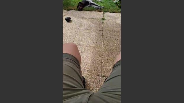 tomsauwer 31-08-2025 Recorded Video fuckface