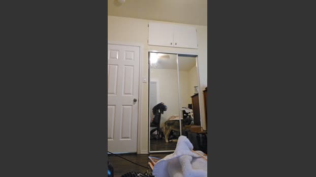 Beardedveteran 01-09-2025 Recorded Video jackoff