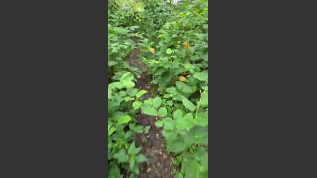 LennyNaakt 01-09-2025 Recorded Video toy