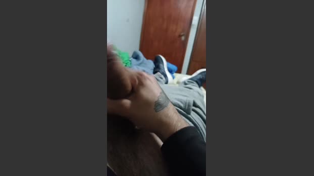 lobopijon2 02-09-2025 Recorded Video big