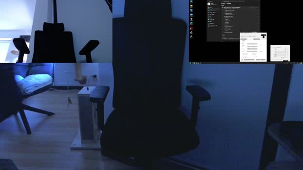 Reeper84 03-09-2025 Recorded Video bigtoys