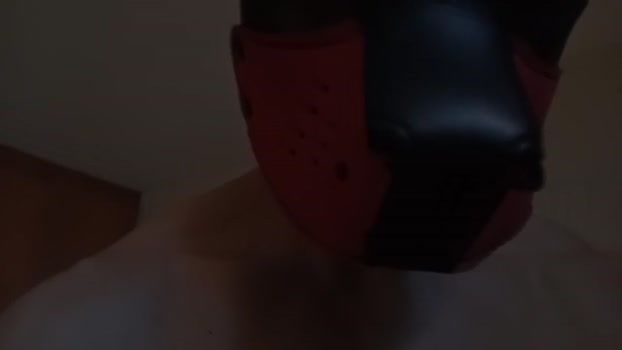 Frabroker 03-09-2025 Recorded Video Recorded