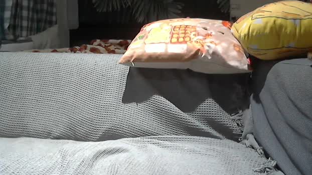 howhow22 03-09-2025 Recorded Video blowjob