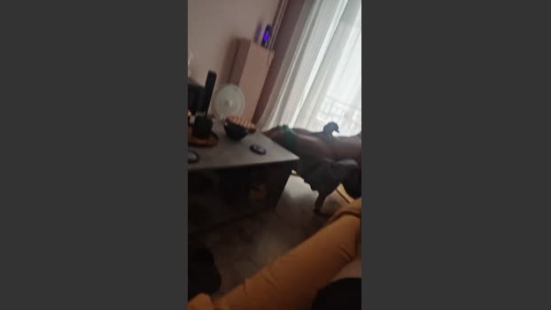 sexgreekfree 04-09-2025 Recorded Video sweet