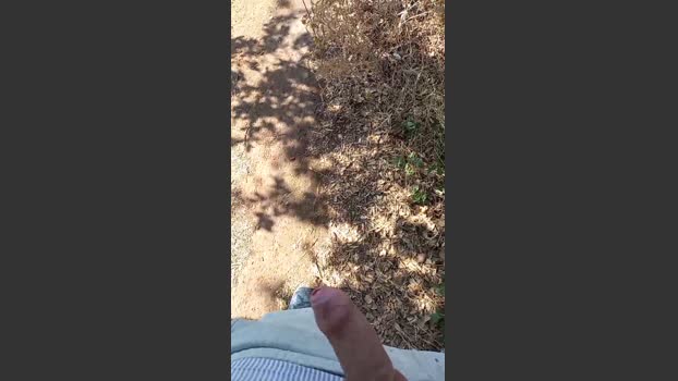 Alentejanot 05-09-2025 Recorded Video legs