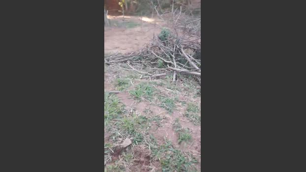 Daddy_capixaba 04-09-2025 Recorded Video hard