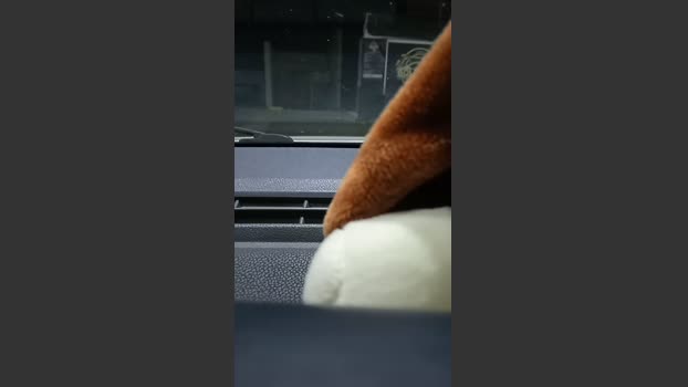 Uber_dotCtba 05-09-2025 Recorded Video orgasm