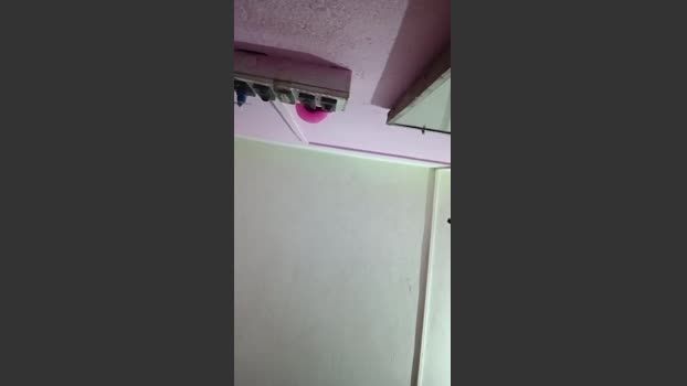 chiranjitho1 05-09-2025 Recorded Video Porn