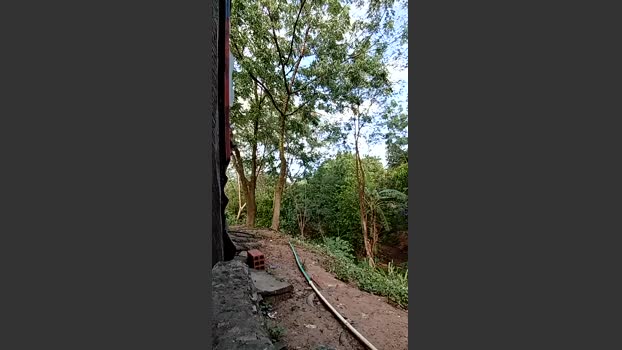 Richard_2 06-09-2025 Recorded Video jackoff