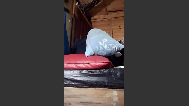 Plata2025 08-09-2025 Recorded Video bigload