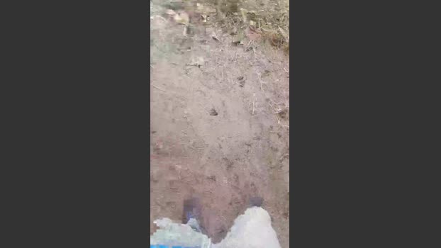 CastroDotad 08-09-2025 Recorded Video love