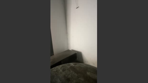 MONSTER777DADDY 09-09-2025 Recorded Video bicurious