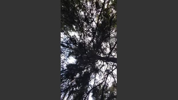 abcd34 09-09-2025 Recorded Video sex