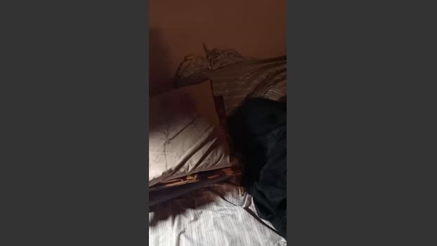 leonsexually 10-09-2025 Recorded Video sexymale
