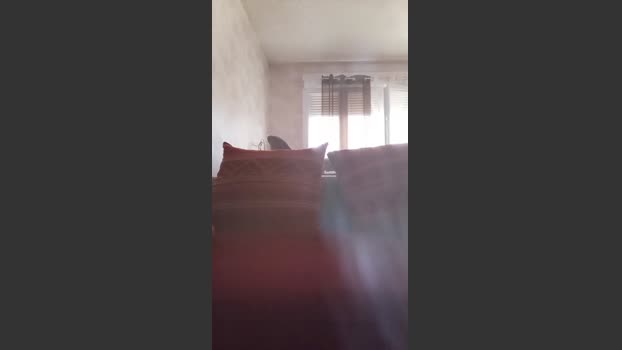 Willychaud 11-09-2025 Recorded Video striptease