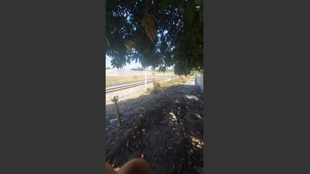 jao_magrao 11-09-2025 Recorded Video lovense