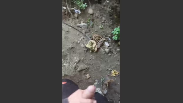 Alejandrofasini 12-09-2025 Recorded Video big