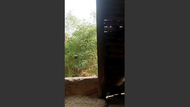 Richard_2 12-09-2025 Recorded Video Recorded