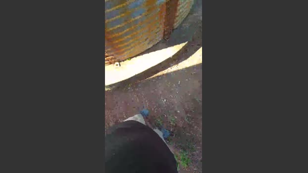 Kleindude 12-09-2025 Recorded Video harddick