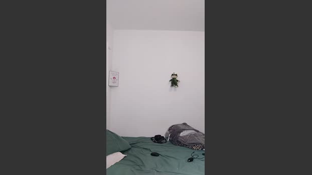 OMagrinDlc 13-09-2025 Recorded Video toy