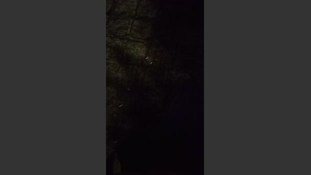 Uber_dotCtba 13-09-2025 Recorded Video analtoy