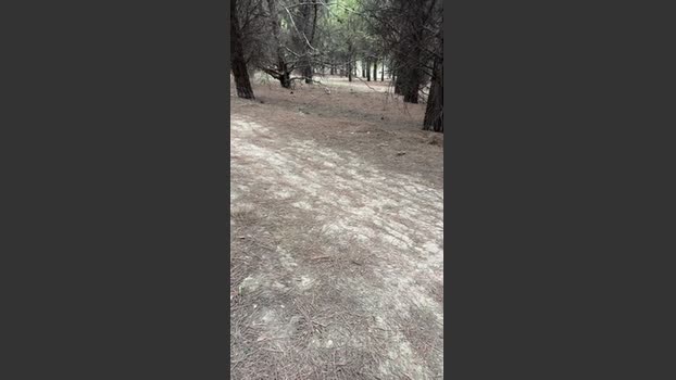 Laoquedad 13-09-2025 Recorded Video fuckass