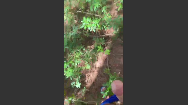elmissimo 14-09-2025 Recorded Video suck