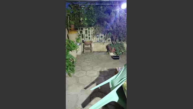 piovrahot 13-09-2025 Recorded Video bigtoys