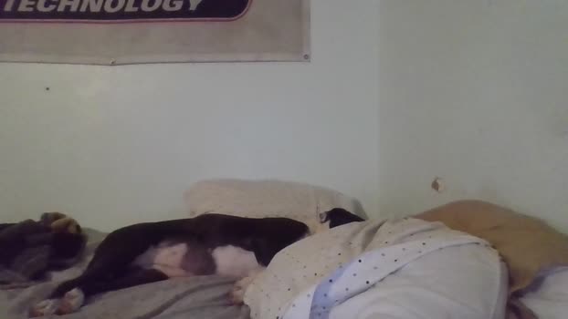 Bigtoyguy34 15-09-2025 Recorded Video Video