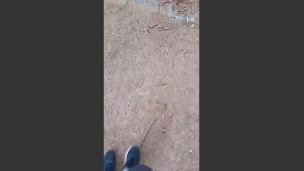 Daddy_capixaba 14-09-2025 Recorded Video hot