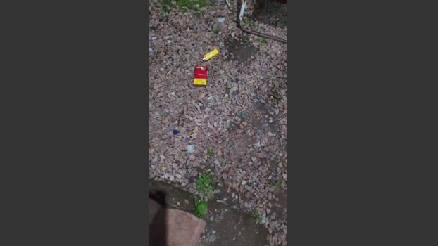 SDOlyver 15-09-2025 Recorded Video hot