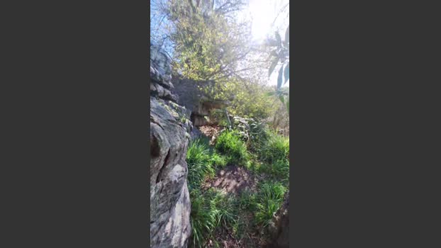 leyto_mdq 14-09-2025 Recorded Video Recorded