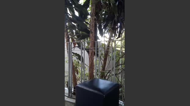 raul4396624 14-09-2025 Recorded Video naked