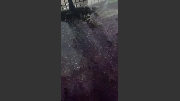 Asasass 16-09-2025 Recorded Video hard