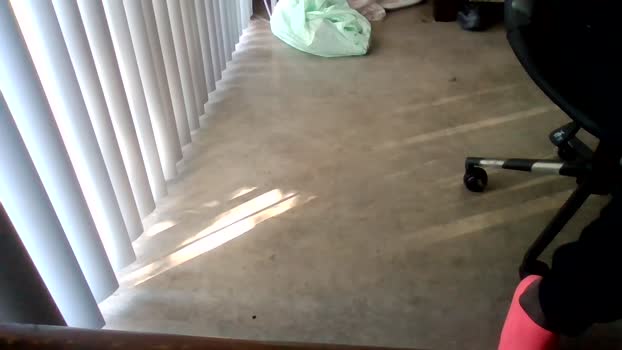 Silkworm_Piper 15-09-2025 Recorded Video jerkoff