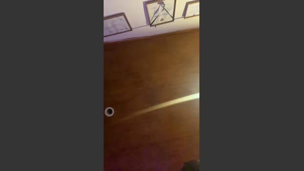 alvzky 16-09-2025 Recorded Video Video