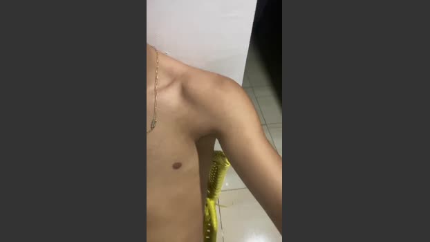 novinhodot__
