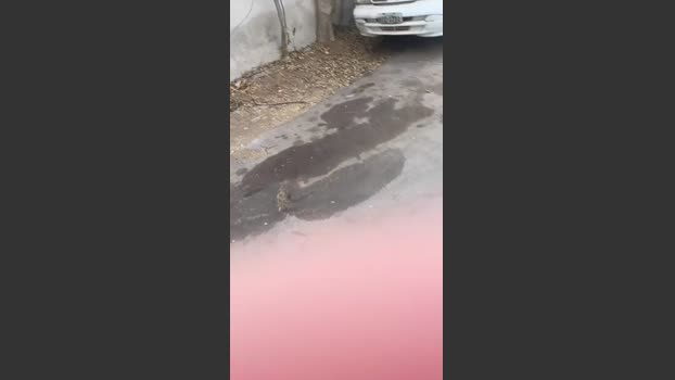 Lucasjandre 16-09-2025 Recorded Video natural