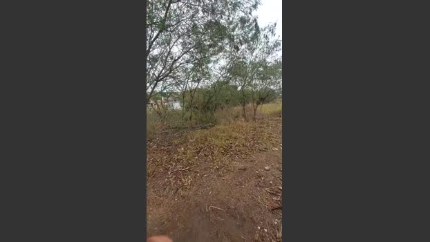 jao_magrao 17-09-2025 Recorded Video fuckass