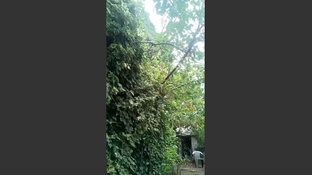 jef34 17-09-2025 Recorded Video love