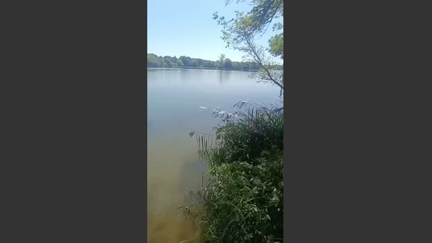 Miridjy 18-09-2025 Recorded Video Webcam