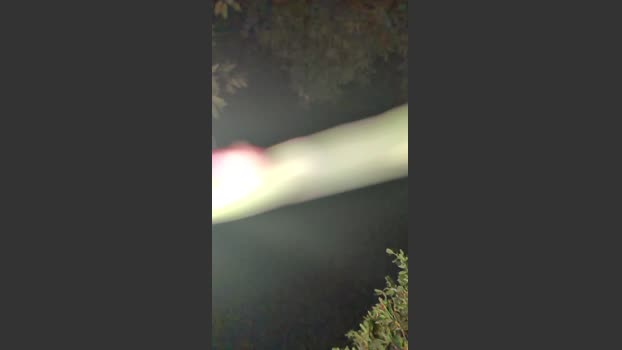 Beardedveteran 19-09-2025 Recorded Video bigcock