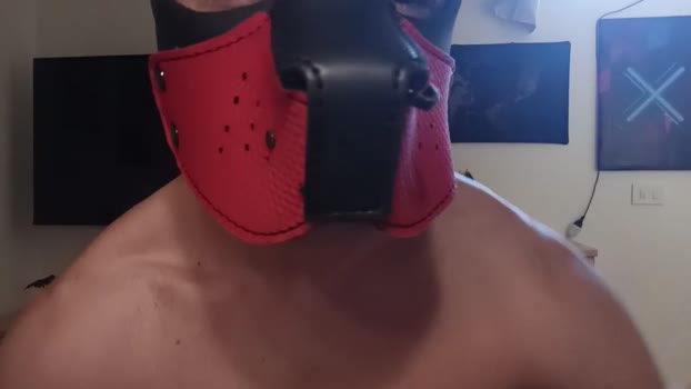 Frabroker 18-09-2025 Recorded Video legs