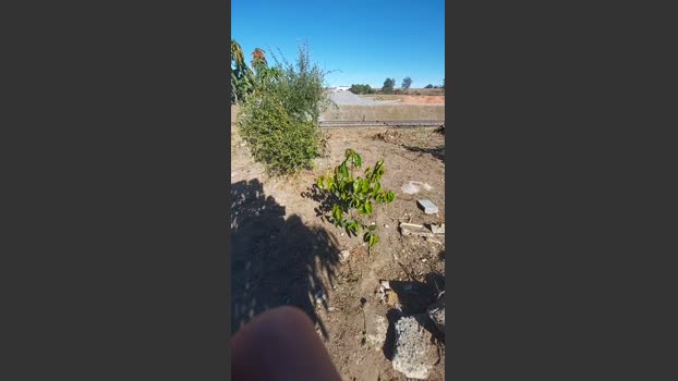 jao_magrao 18-09-2025 Recorded Video sexykitty