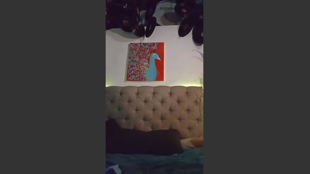 leohotqac 19-09-2025 Recorded Video gag