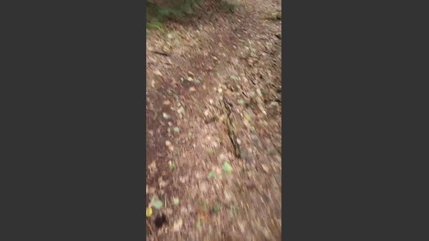 slaven19 19-09-2025 Recorded Video naughty