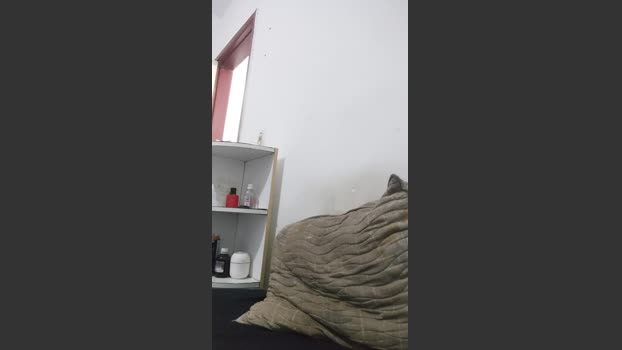 Aieloucura 20-09-2025 Recorded Video handsome
