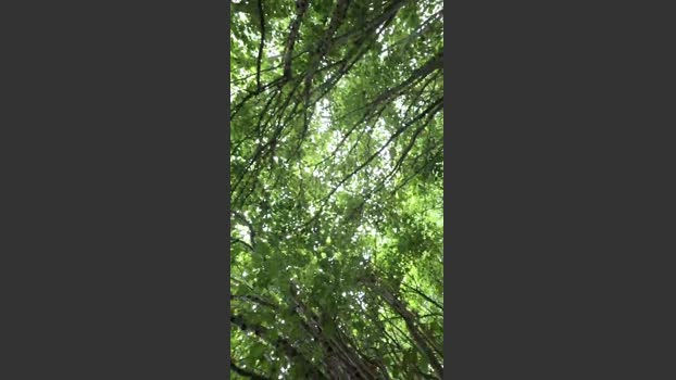 Socke72 20-09-2025 Recorded Video Pretty