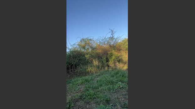 spiler88 20-09-2025 Recorded Video strip